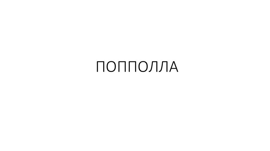Изображение товарного знака ПОППОЛЛА