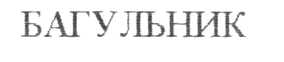 Изображение товарного знака (изобразительный знак)