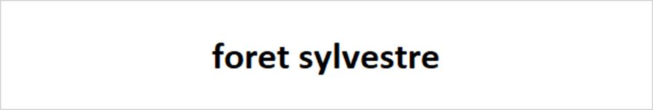 foret sylvestre