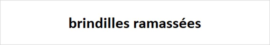 brindilles ramassées