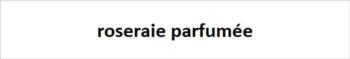 roseraie parfumée