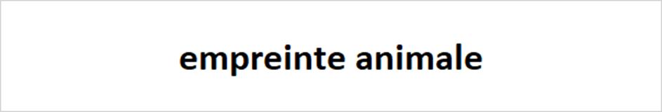 empreinte animale