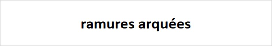 ramures arquées