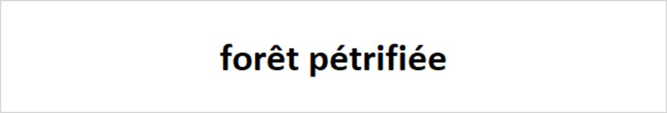forêt pétrifiée