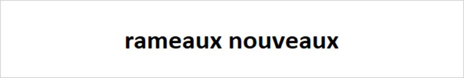 rameaux nouveaux
