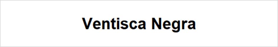 Ventisca Negra