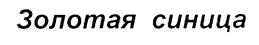 Изображение товарного знака (изобразительный знак)