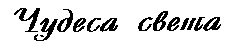 (изобразительный знак)