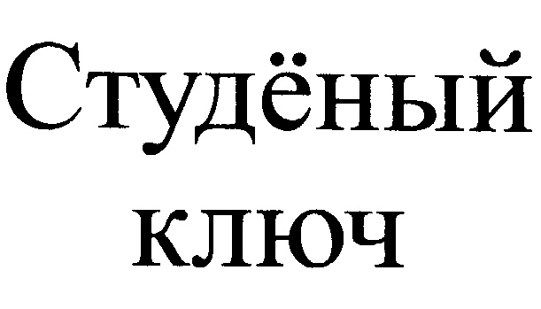 (изобразительный знак)