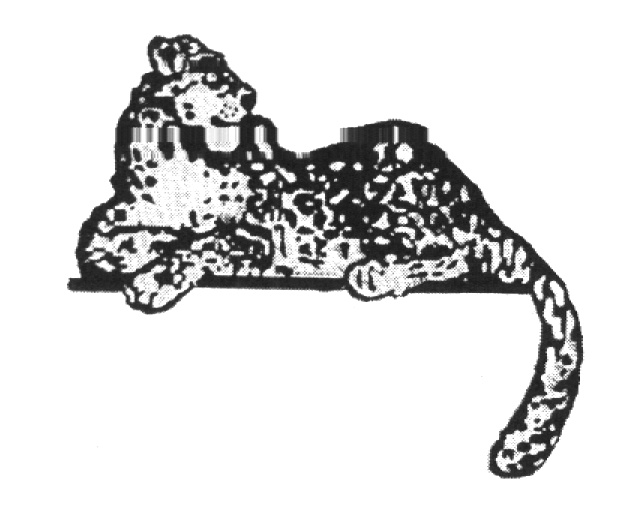(изобразительный знак)