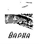 Изображение товарного знака (изобразительный знак)
