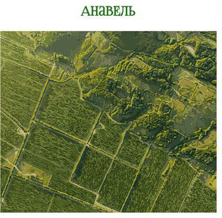 Изображение товарного знака (изобразительный знак)
