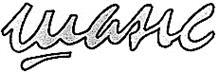 Изображение товарного знака (изобразительный знак)