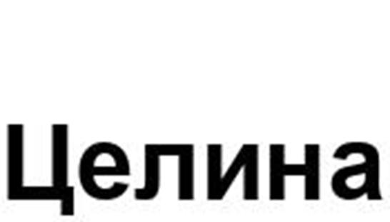 (изобразительный знак)