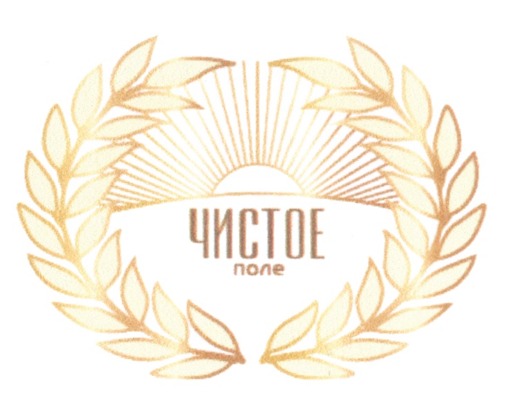 ЧИСТОЕ поле