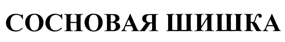 СОСНОВАЯ ШИШКА