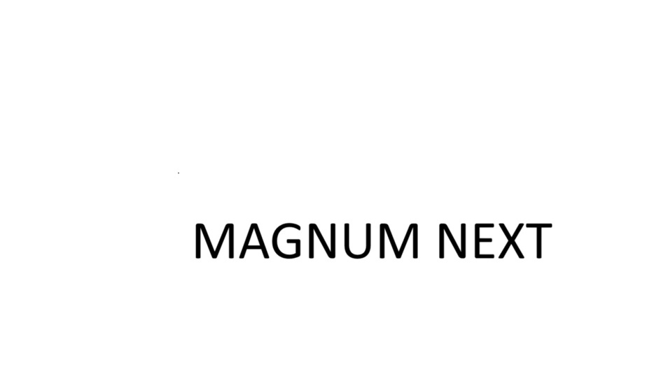 Изображение товарного знака MAGNUM NEXT