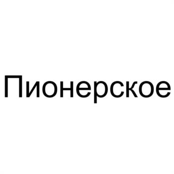 Пионерское