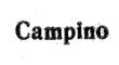 Campino