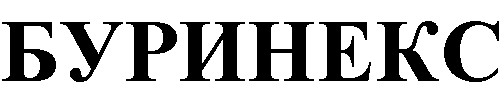 Изображение товарного знака БУРИНЕКС
