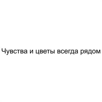 Чувства и цветы всегда рядом