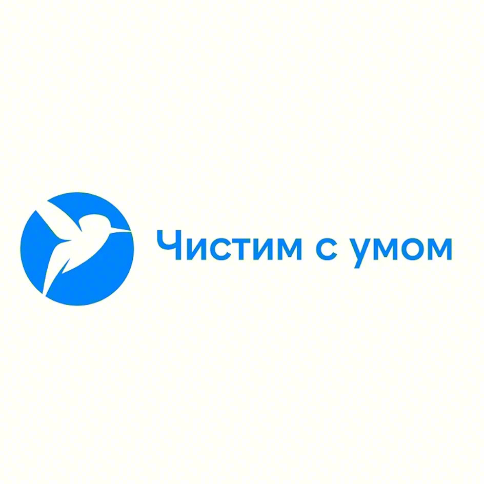 Чистим с умом