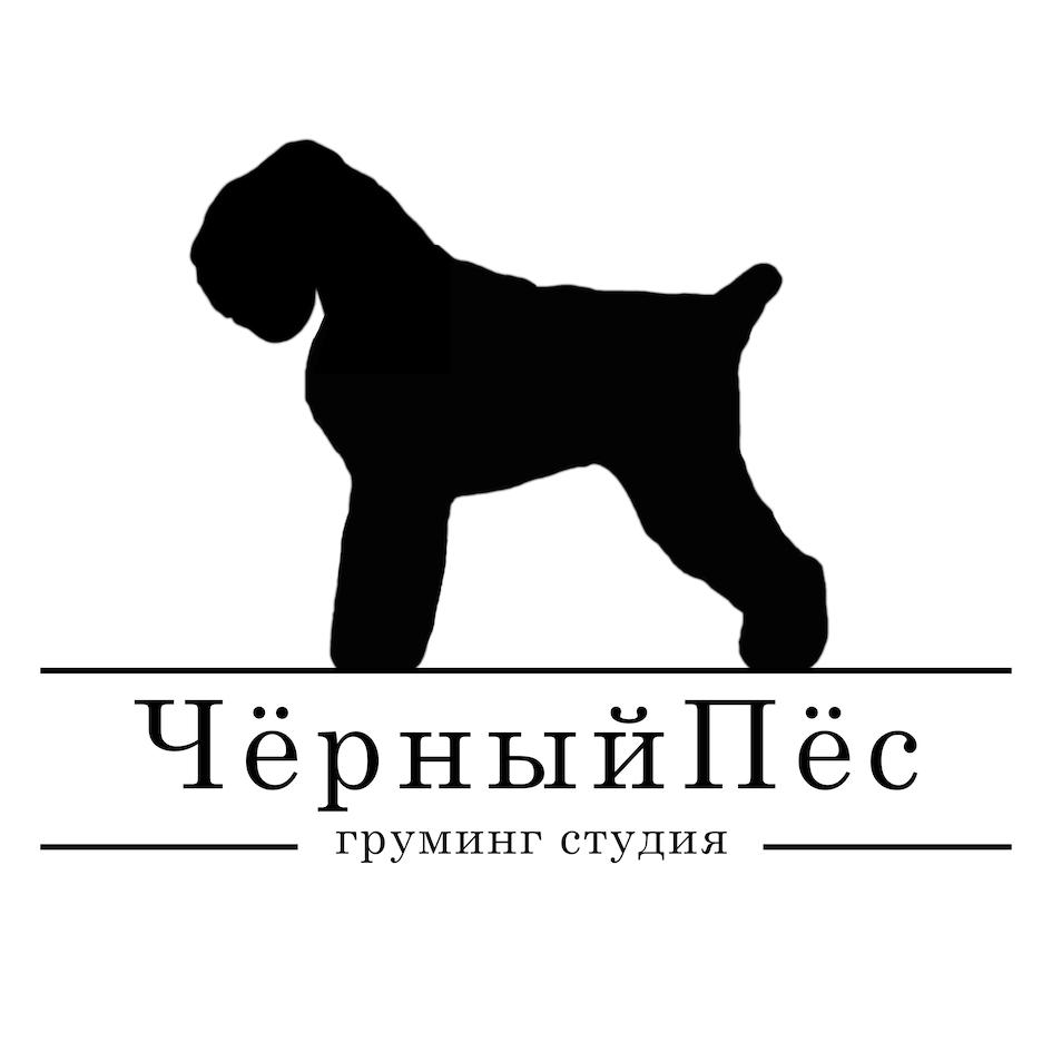 ЧёрныйПёс grминг студия