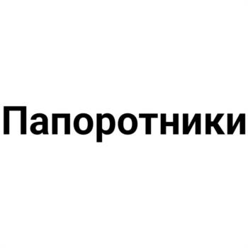 Папоротники