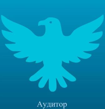 Аудитор