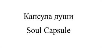 Капсула души Soul Capsule