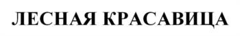 ЛЕСНАЯ КРАСАВИЦА