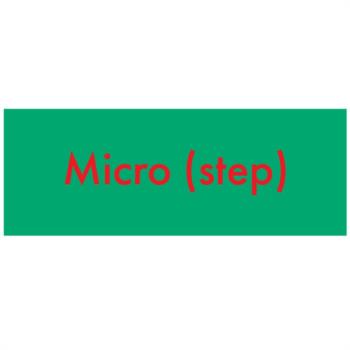 Micro (step)