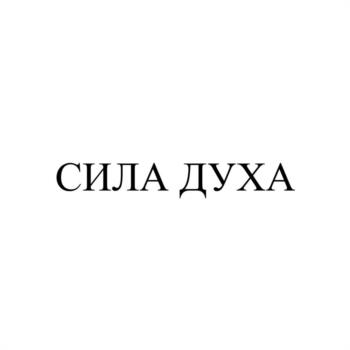 СИЛА ДУХА