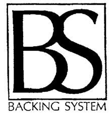 BS BACKING SYSTEM