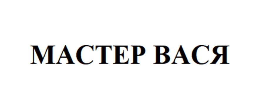 МАСТЕР ВАСЯ