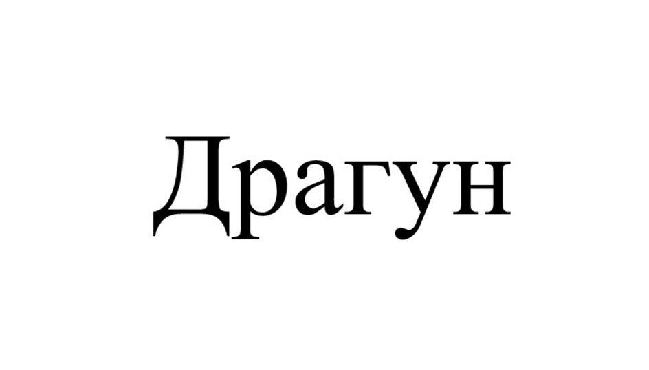 Драгун