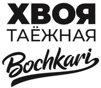 Изображение товарного знака (изобразительный знак)