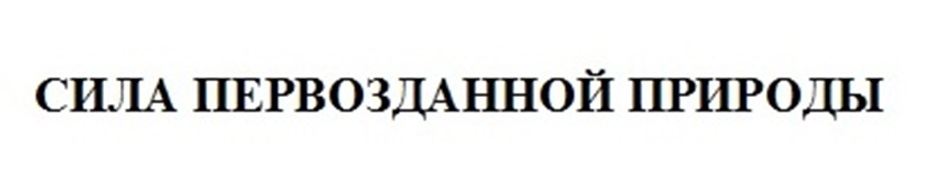 (изобразительный знак)