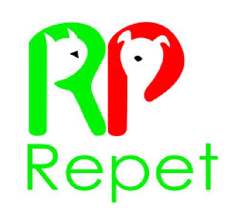 Изображение товарного знака R Repet
