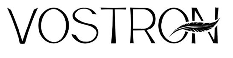 VOSTROIN