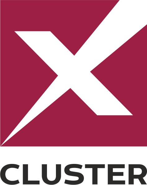 CLUSTER