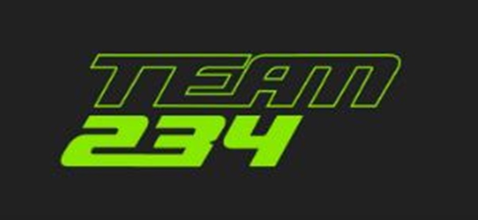 Изображение товарного знака ТЕАМ 234