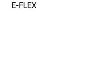 E-FLEX