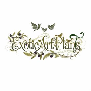 ExoticArtPlang