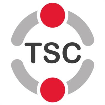 Изображение товарного знака (изобразительный знак)