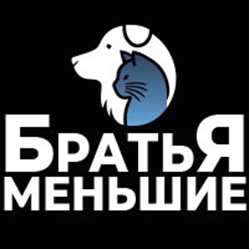 БРАТЬЯ МЕНЬШИЕ