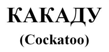 КАКАДУ (Cockatoo)