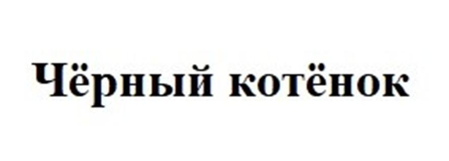 Чёрный котёнок