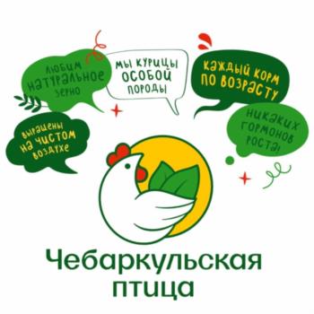 ЛЮБИМ ПЕТУХОВОЕ МОИ КУРЫЦЫ ОСОБОЙ ПОРОДЫ КАЖДЫЙ КОРМ ПО ВОЗРАСТУ НИКАКИХ ГОРМОВ РОСТУ ВЫРАЩЕНЫ НА ЧИСТОМ ВОЗДУХЕ Чебаркульская птица