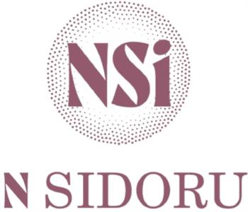 NSi NSIDORU